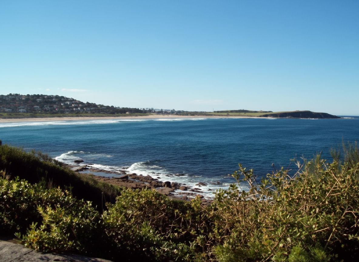 Graphic design services in Dee Why
