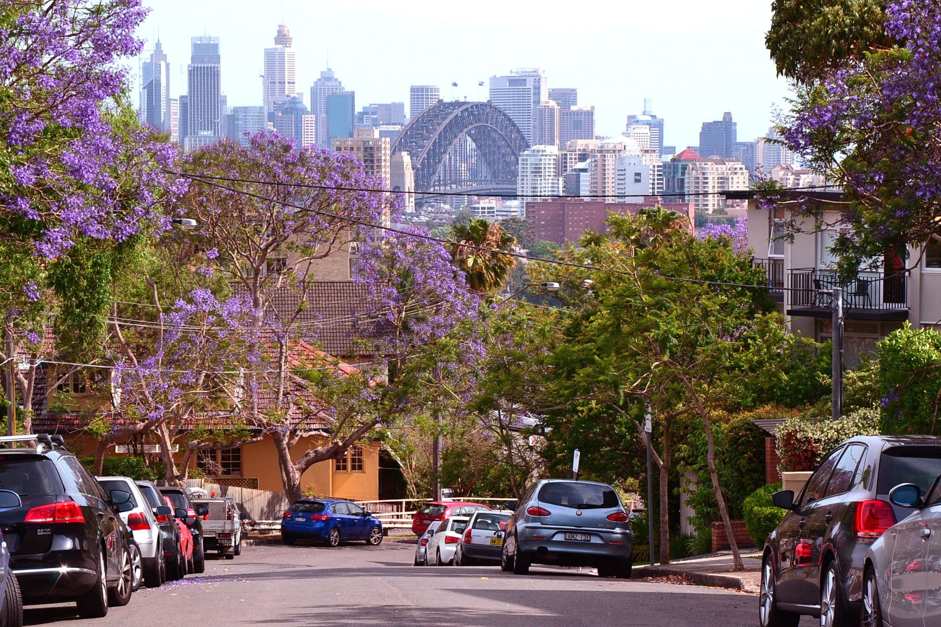 Graphic design services in Neutral Bay