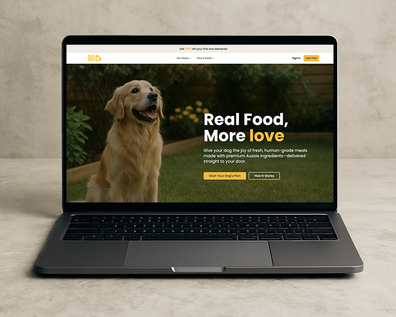 Website Design